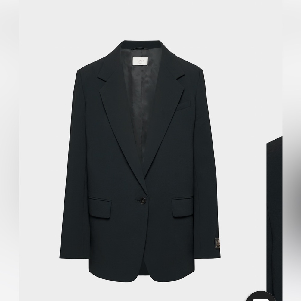 Aritzia Generation Blazer Crepette